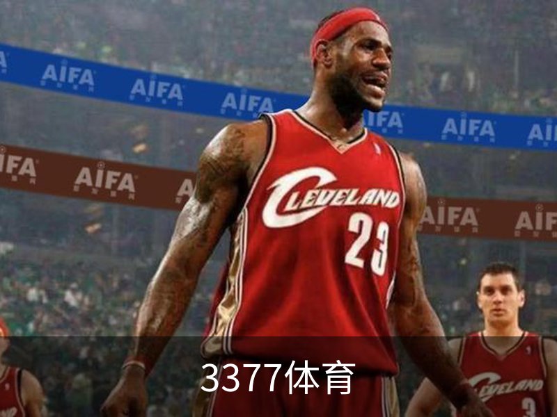 3377体育概况